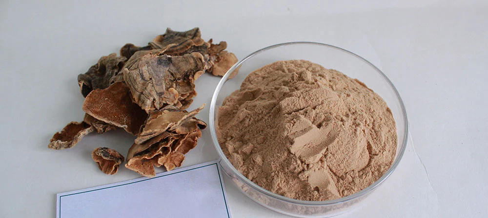 maitake mushroom extract powder maitake mushroom extract powder