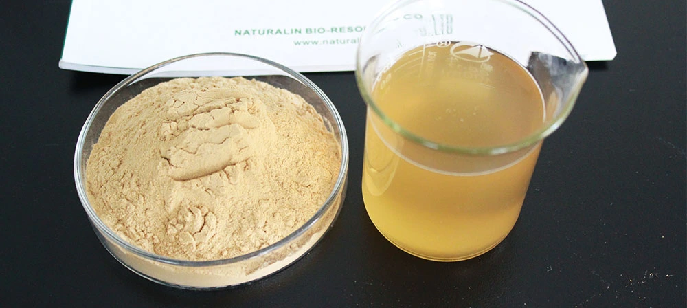 yucca extract powder yucca extract powder