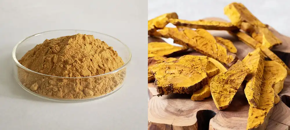 Phellinus Linteus Mushroom Extract