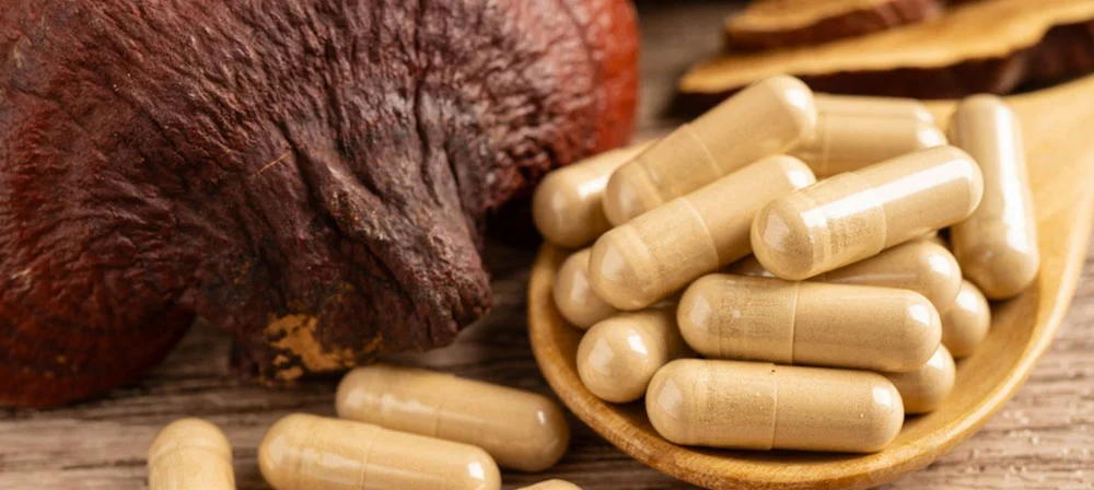 button mushroom powder