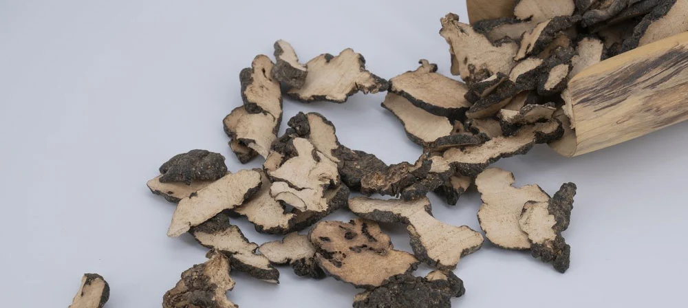 Polyporus umbellatus mushroom powder