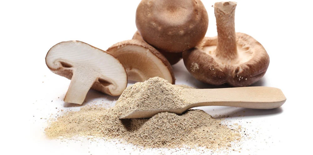 button mushroom powder button mushroom powder