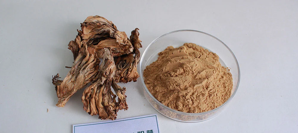 maitake mushroom extract powder maitake mushroom extract powder