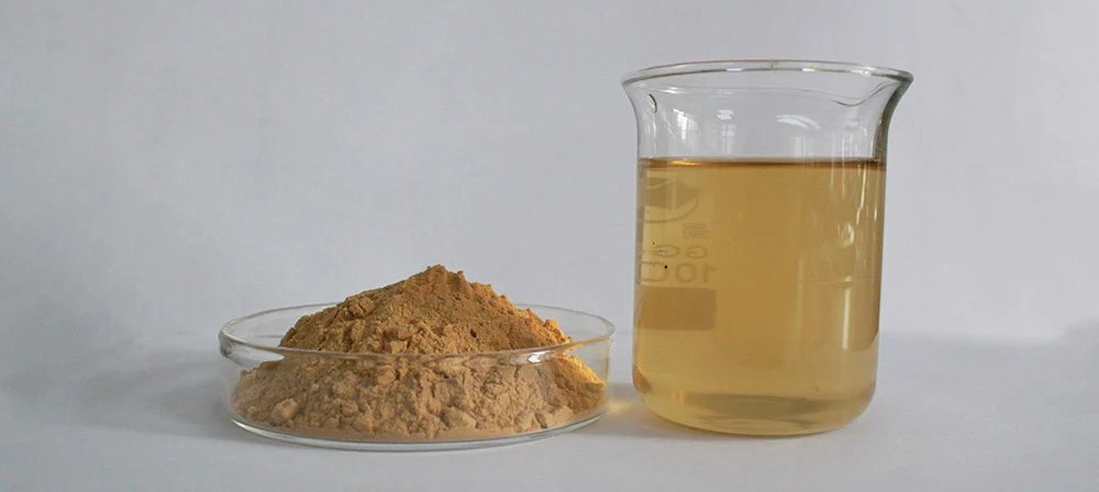 Agaricus Blazei Extract