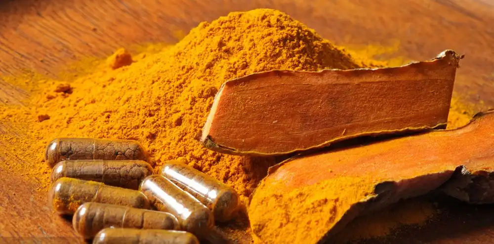 organic turmeric extract powder
