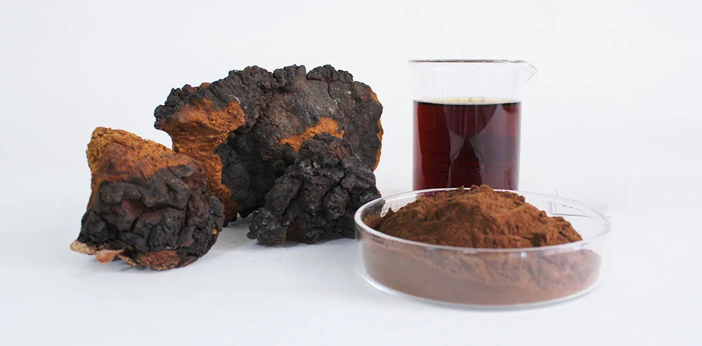 Organic chaga mushroom extract