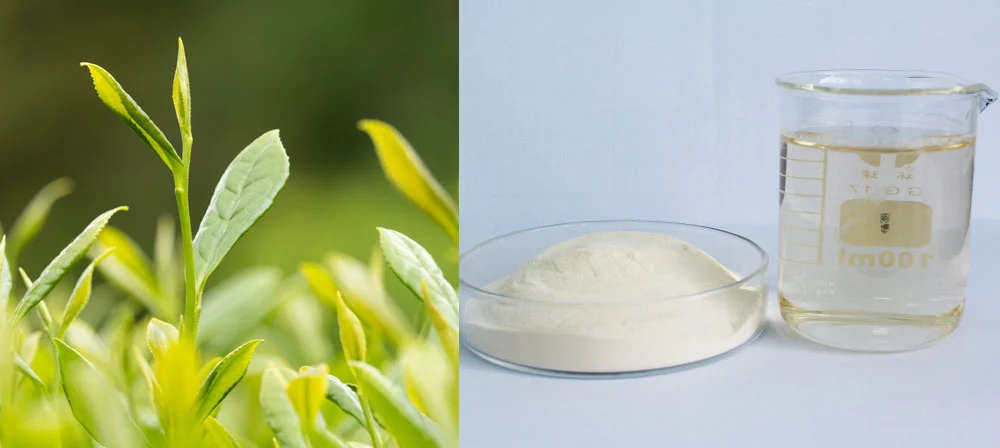 organic green tea powder organic green tea powder