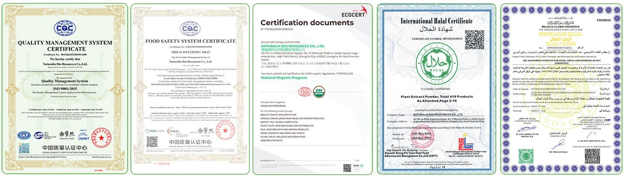 Global Certifications Global Certifications