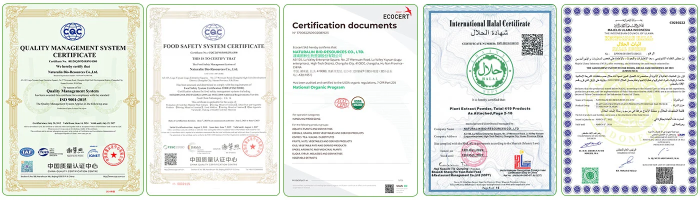 Global Certifications Global Certifications