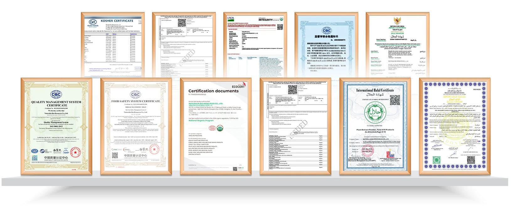 Enterprise Certification