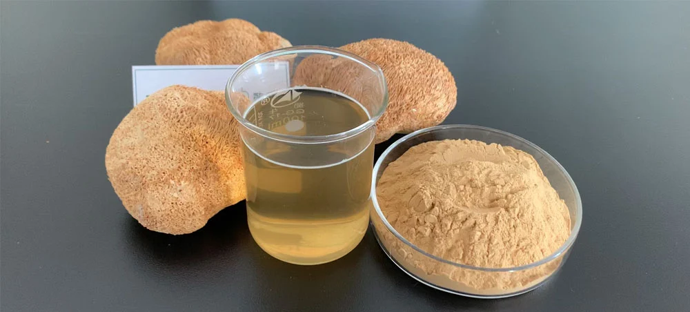 Lion's Mane Mushroom Extract