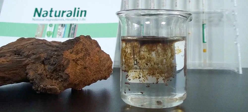 Chaga Mushroom Extract