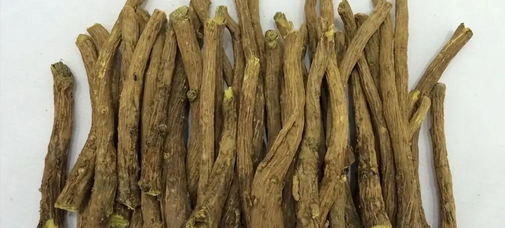 Baical Skullcap Extract Baical Skullcap Extract