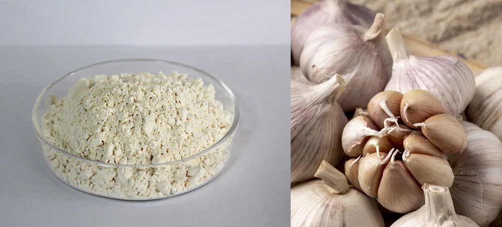 Garlic Extract