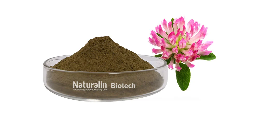Red Clover Extract Red Clover Extract