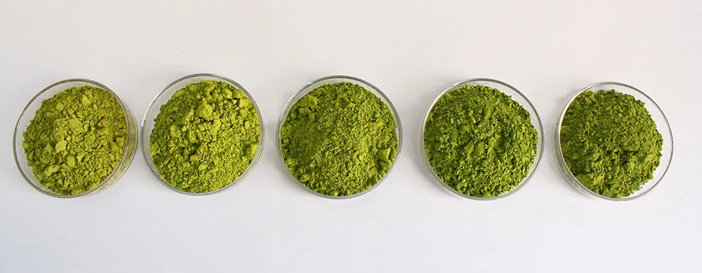 Matcha Tea Powder Matcha Tea Powder