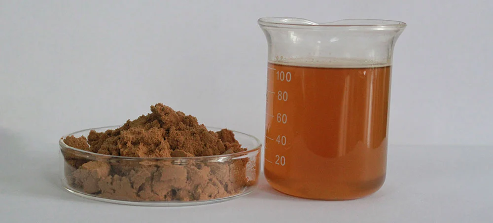Ganoderma Extract