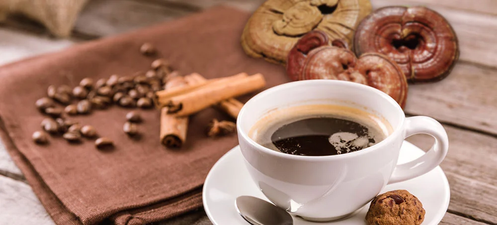 Ganoderma Extract