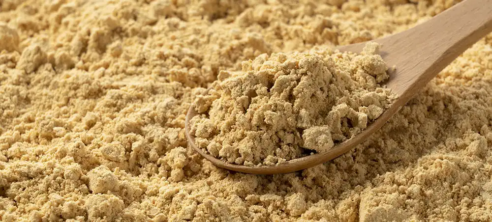 American Ginseng Extract