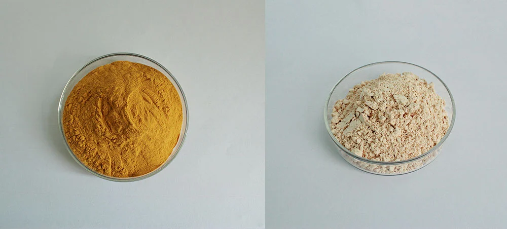 Organic Green Tea Powder
