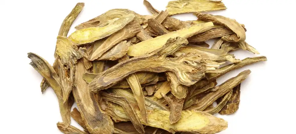 Baical Skullcap Extract Baical Skullcap Extract