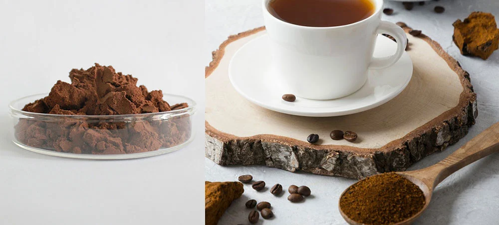 Organic Chaga Mushroom Extract Organic Chaga Mushroom Extract