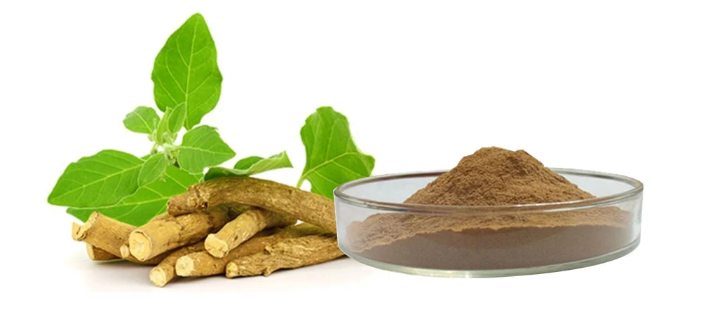 Organic Ashwagandha Extract,