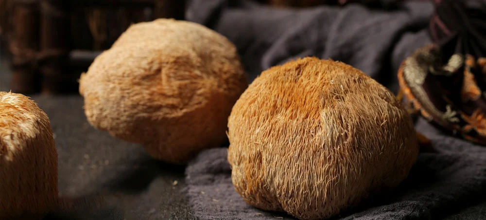 Lion's Mane Mushroom Extract Lion's Mane Mushroom Extract