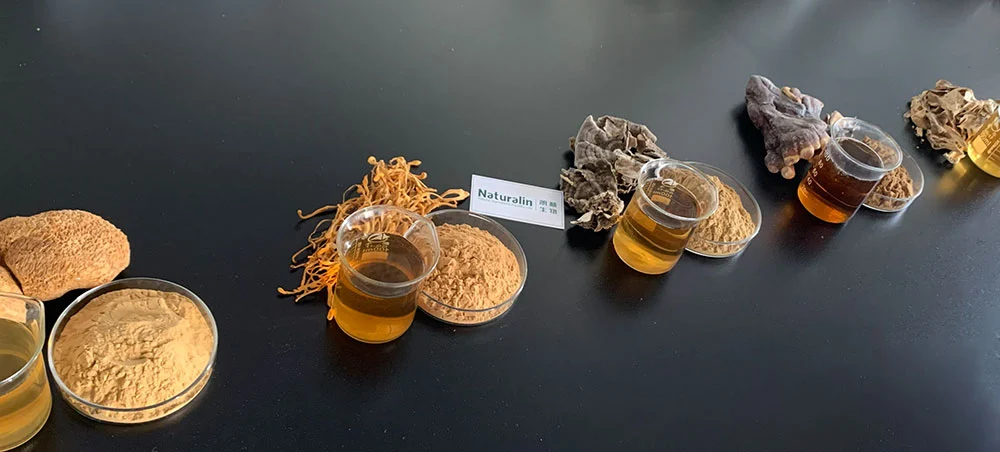 Cordyceps Mushroom Extract 