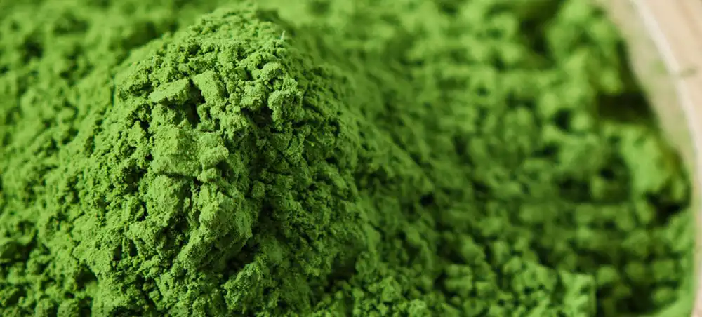 Matcha Tea Powder Matcha Tea Powder