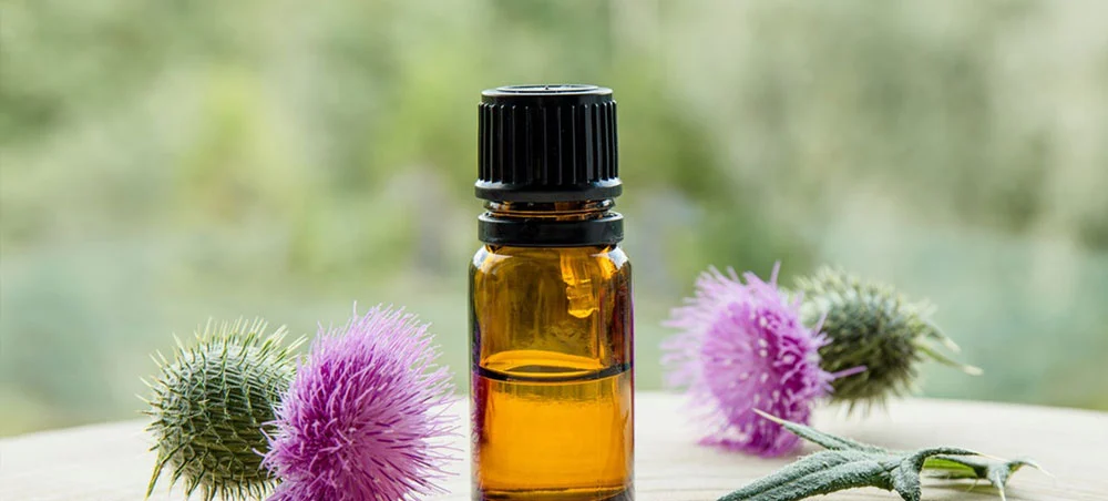 Milk Thistle Extract