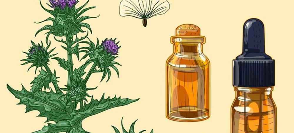 Milk Thistle Extract