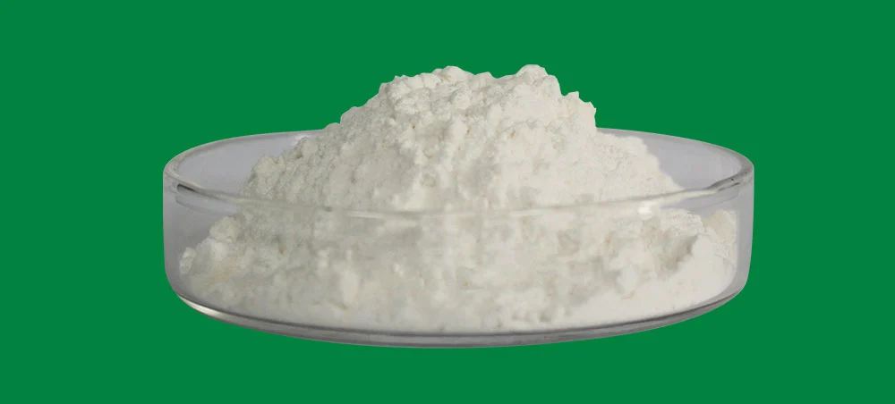 Saw Palmetto Extract
