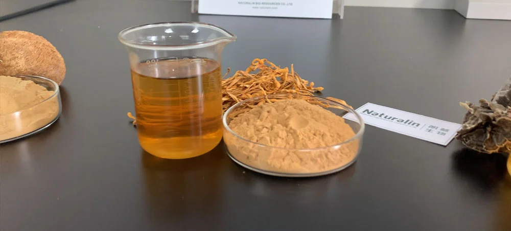 Cordyceps Mushroom Extract Cordyceps Mushroom Extract