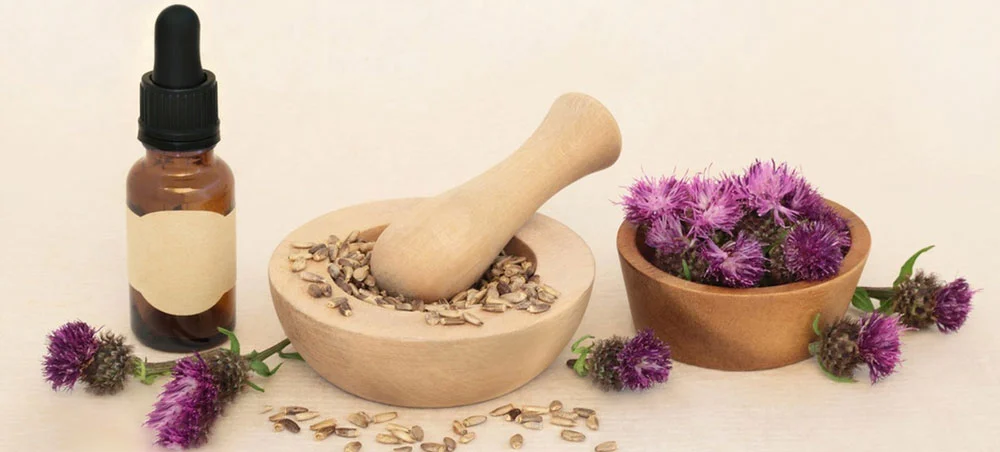 Milk Thistle Extract