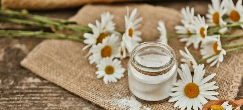 Chamomile Flower Extract Chamomile Flower Extract