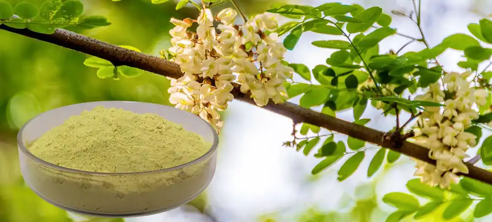 Sophora Japonica Extract
