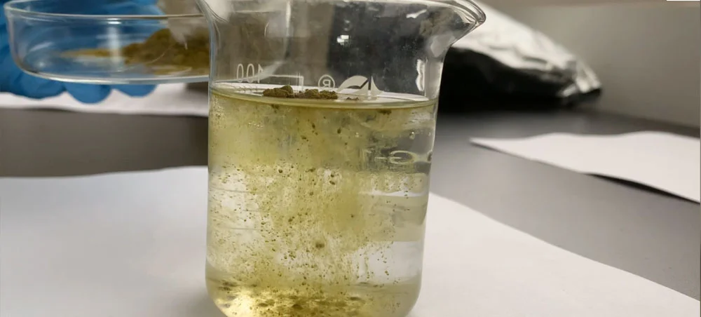 Ivy Leaf Extract