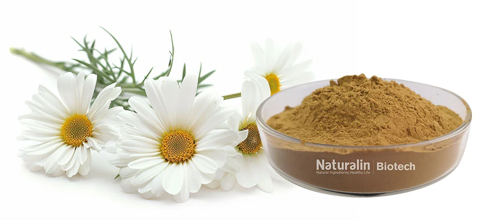 Chamomile Flower Extract Chamomile Flower Extract