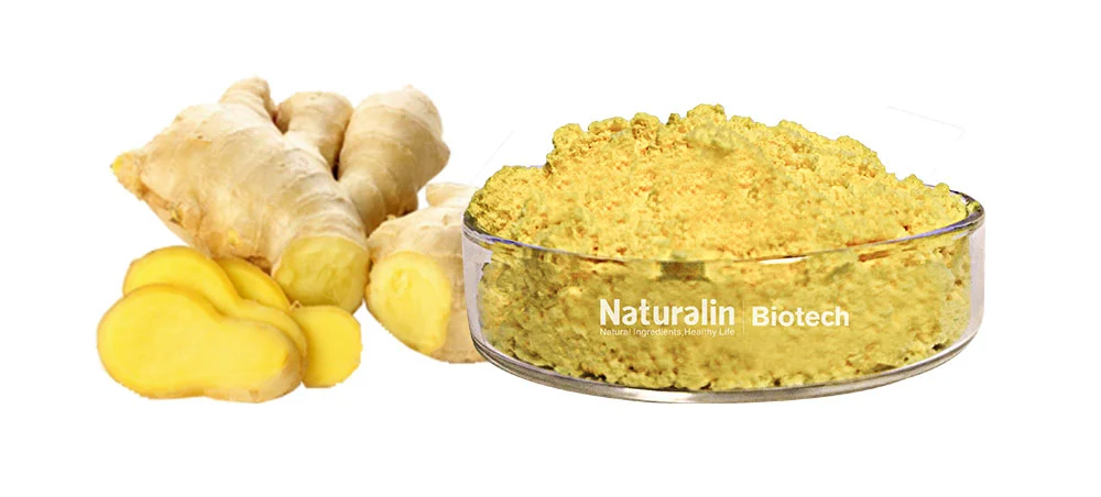 Ginger Powder Ginger Powder