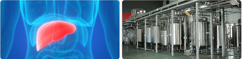 Milk Thistle Extract Milk Thistle Extract