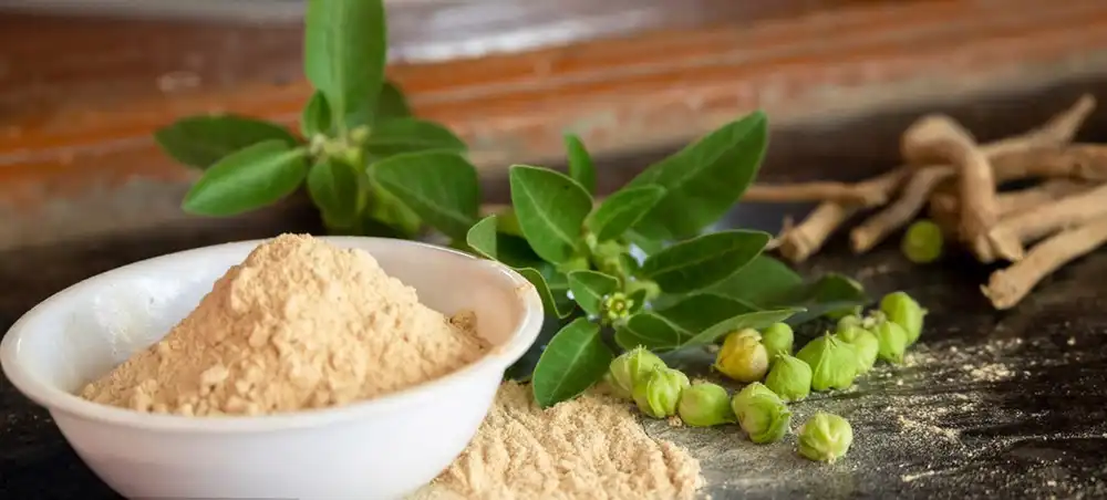 Organic Ashwagandha Extract