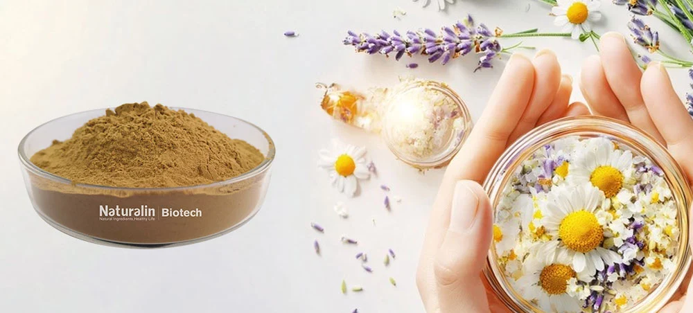 Chamomile Flower Extract Chamomile Flower Extract