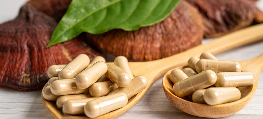 Ganoderma Extract Powder 