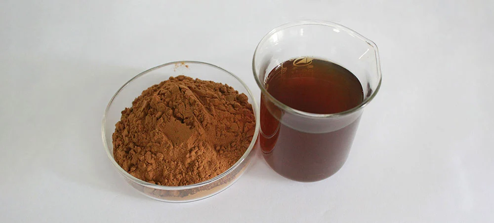 Echinacea Extract Echinacea Extract