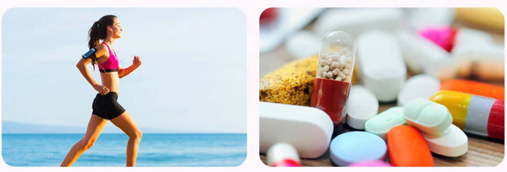 Echinacea Extract Powder