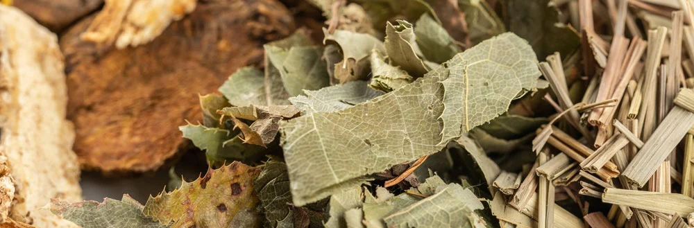Epimedium Extract Powder Epimedium Extract Powder