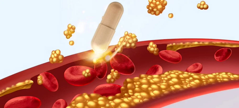 Co Enzyme Q10 Powder