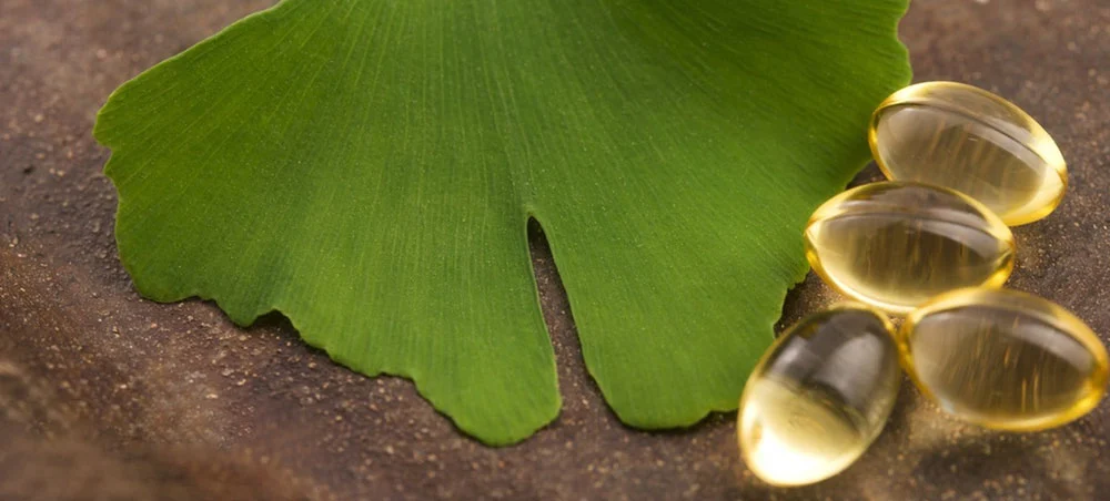Ginkgo Biloba Leaf Extract Powder