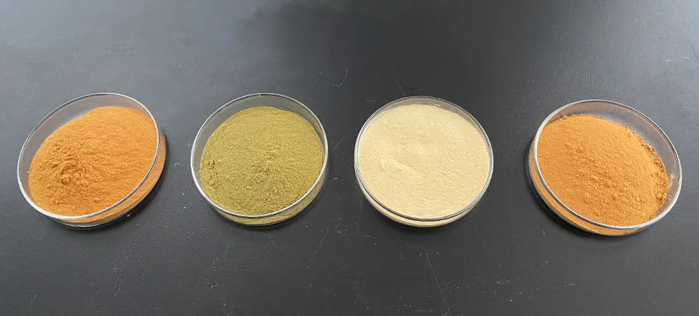 Rosemary Extract Powder Rosemary Extract Powder